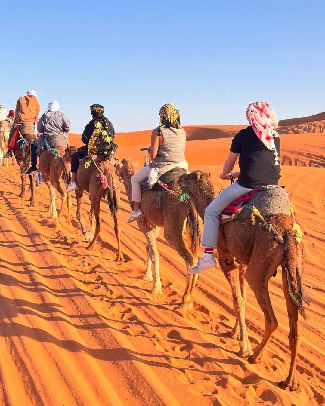 WhatsApp Image 2025-10-21 at 2.19.58 AM WhatsApp Image 2025-10-21 at 2.19.58 AM